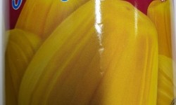Twin Elephant Jackfruit In Syrup 565g