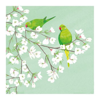 The Art File - Richmond Green Parakeets Card