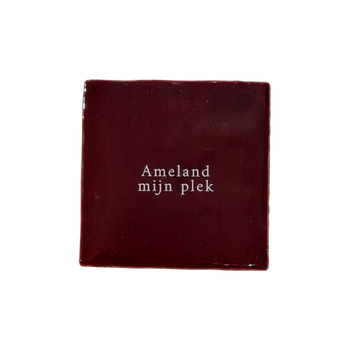 Tegel - Ameland mijn plek