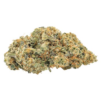 Frosted Rootbeer / 7g / Whole Flower / Sativa
