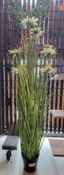 Lg Potted Grass and Daisies