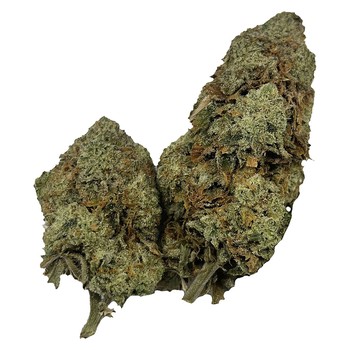 Honah Lee Haze / 7g / Sativa