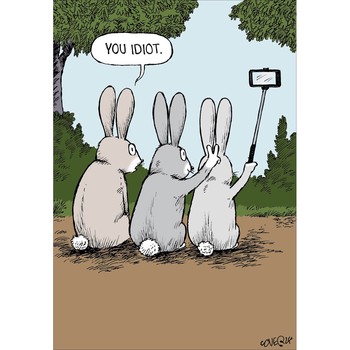 Woodmansterne -K CARDSNGL SPEED BLANK Rabbit Selfie-497520