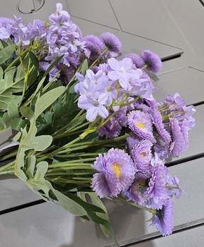 Lavender Daisy