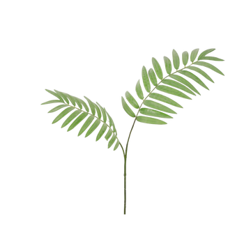 Palm fern spray