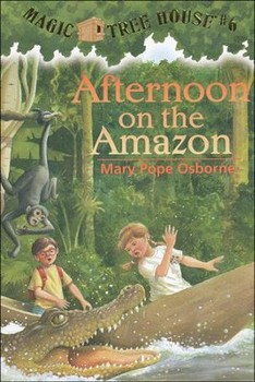Afternoon on the Amazon
