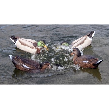 Game on Feeding Frenzy Motion Decoy System