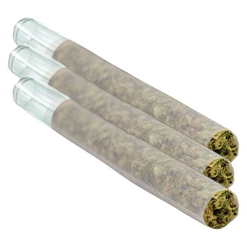 Honah Lee Haze Glass Tip (Pre-Roll) / 1.5g / Pre-Roll Packs (3) / Sativa