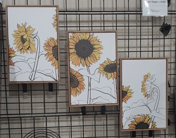 Set of 3 Framed Sunflower Canvas