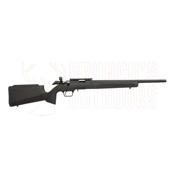 Springfield Armory 2020 Rimfire Target Black .22 LR