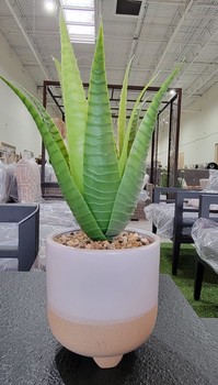 Ceramic Planter with Artificial