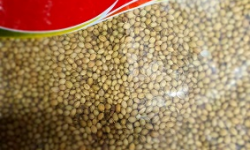 Ics Coriander Whole 200g