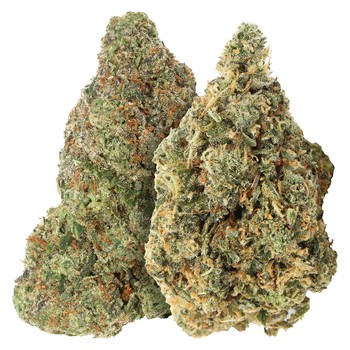 Carmel Two Pack: Bubblegum Marker & Red Bullz / 7g / Whole Flower / Indica