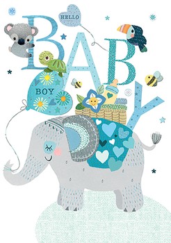 Paper Rose - baby boy - flp041
