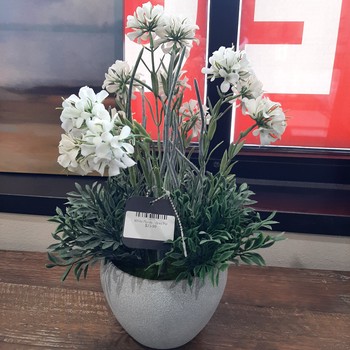White Florals - Grey pot