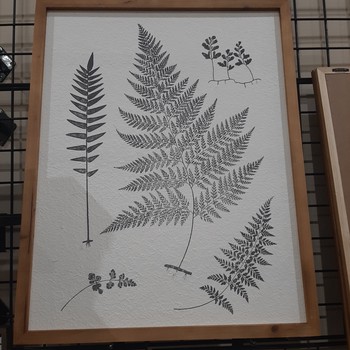 Wood framed wall botanical