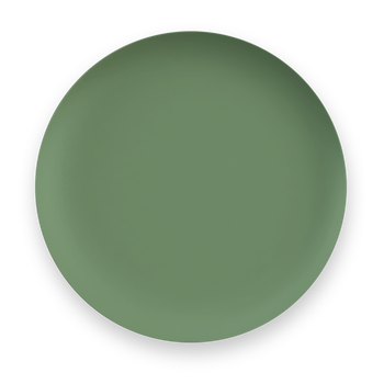 MEDITERRANEAN 'GARDEN TURF' MELAMINE DINNER PLATE