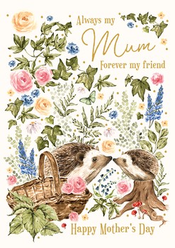 The Art File - Mum Hedgehogs - BWM05A