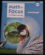 Used Math in Focus: Singapore Math Enrichment, Book B Grade 4
