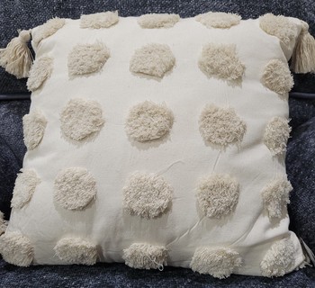 Cotton 18 x 18 Pillow with Tassel