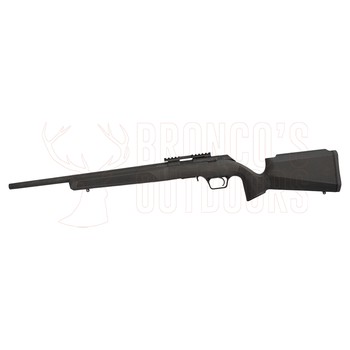 Springfield Armory 2020 Rimfire Target Black .22 LR