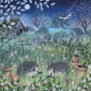 Museums & Galleries Hedgehogs CCH006