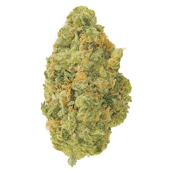 Neon Sour / 7g / Sativa
