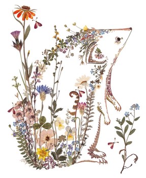 Museums & Galleries Cottage Garden Hedgehog PRG617