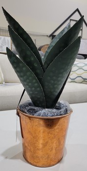 Medium oasis hand finished cactus