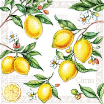 CITRUS PAPER NAPKINS