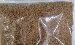 A Cummin Seeds 250g