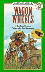 Used Wagon Wheels (Level 3 Reader)