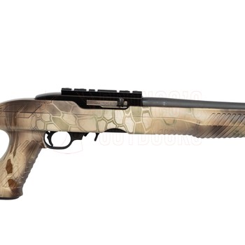 Ruger 10/22 Tac Hammer Camo .22 LR