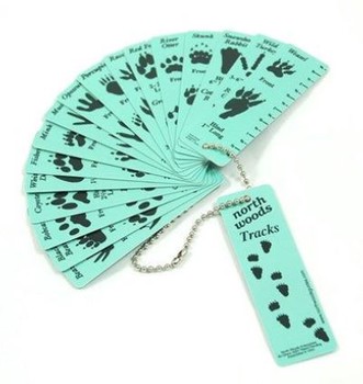 Tracks Info Tags