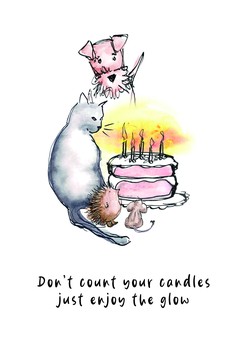 Portfolio - Candles on Cake P373