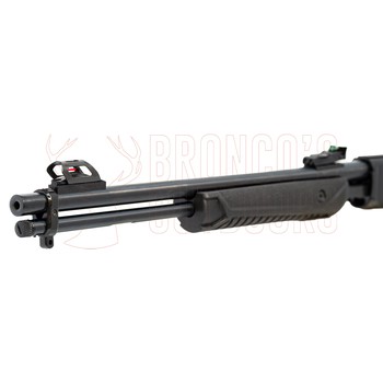 Rossi Gallery Pump Action Synthetic Stock .22 LR