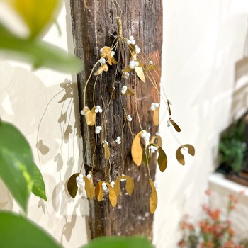Mistletoe messing