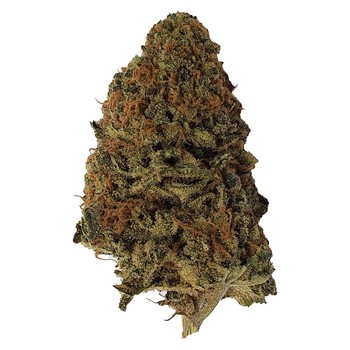 Kush Dreams / 28g / Indica