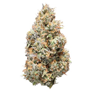 Sativa / 14g / Sativa