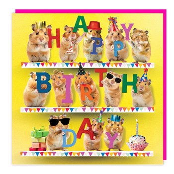 Tracks - Series D 3D - Blank - Birthday Hamsters - Neon - C3604