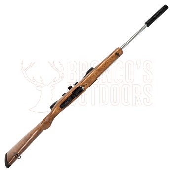 Ruger 10/22 Sporter Stainless + 4x32 Scope + Suppressor