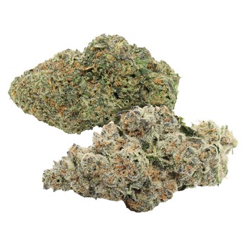 Carmel Two Pack: Permanently Jealous & Bananaconda / 7g / Whole Flower / Indica