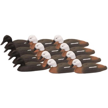 Outdoor Outfitters Foam Paradise Shell Decoy 12 pack with Lite Stakes