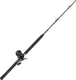 Shimano Aquatip 6' - 1pc 10kg + Shimano TR2000LD Charter Special