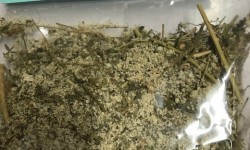 A Dehydrated Polpala 50g