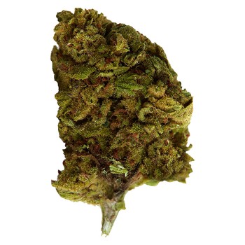 Versus Bubba Kush / 3.5g / Indica