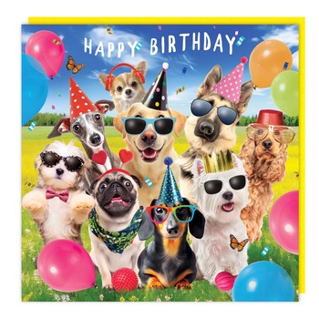 Tracks - LL100 - 3D - Blank - Birthday Dogs - C3727