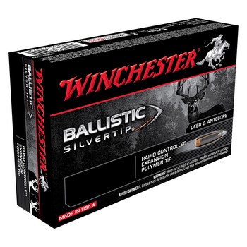 Winchester Ballistic Silvertip .243 95Grain
