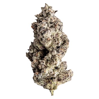 Craft Red Velvet Ice Cream / 3.5g / Whole Flower / Indica