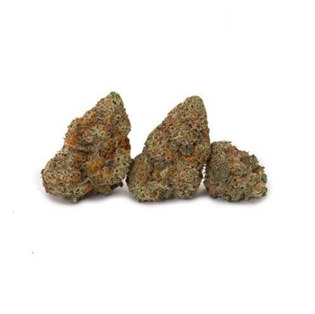 Cookie God | 3.5g